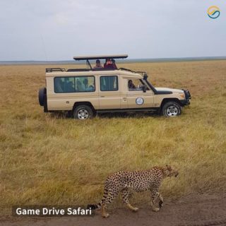 Guests enjoyed Game drives in Masai Mara in search of The Big 5 and wild cats like a cheetah and leopard!

Exciting Game drives in custom-built 4x4 safari vehicles with a pop-up roof.

DM us to know more!

Follow @safari_souk for more Kenyan Safari offers and updates.

#safarikenya #masaimara #gamedrive #safarilife #safaritour