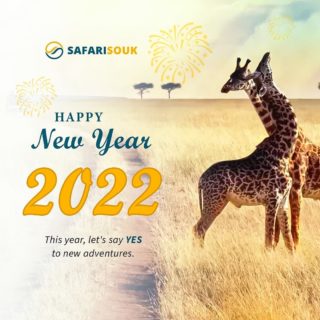 🎊Happy New Year 2022🎈🎈

#happynewyear #newyear #2022 #2022goals #safari #tripwithfriends #hny #adventure #adventuretravel