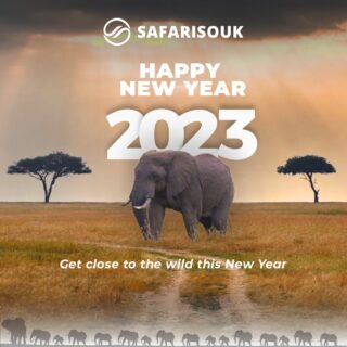 Safari Souk Wishes you a very Happy New Year....

#safari #kenyatourism #tourismkenya #kenyasafari #wildlifeofafrica #newyear #happynewyear23